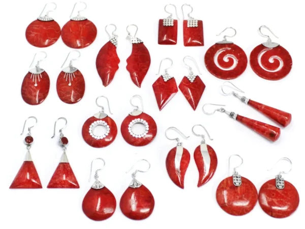 925 Silver and resin earrings