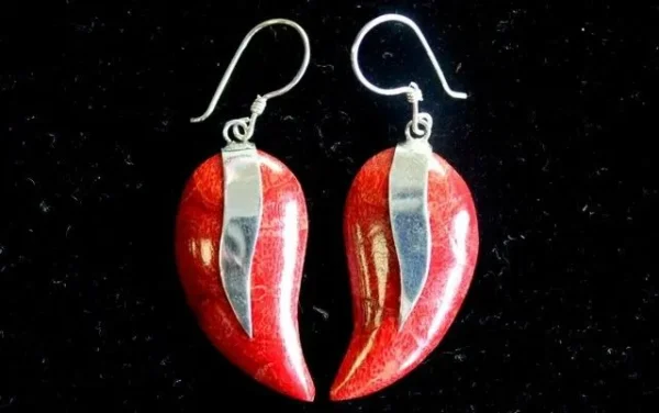 925 Silver and resin earrings Mango