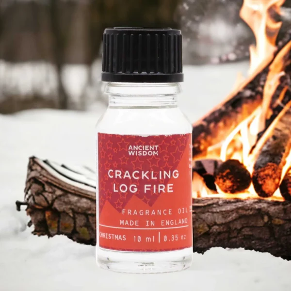 bG9jYWw6Ly9tZWRpYS85TS80RS82MFIzMEMxRzZSV0s0RTlNLzJiYmM4ZmEwLmpwZWc.webp Scented Oil Crackling Log Fire