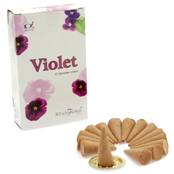 bG9jYWw6Ly9tZWRpYS85TS9FRC82MFIzMEMxRzZHVjNFRDlNL2MyMjBkMmVmLmpwZWc.webp Violet Cones