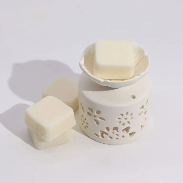 bG9jYWw6Ly9tZWRpYS85Ti9KRC82MFIzMEMxSDcwV0tKRDlOL2E1MDI3YWU0LmpwZWc-1.webp wax melt burner