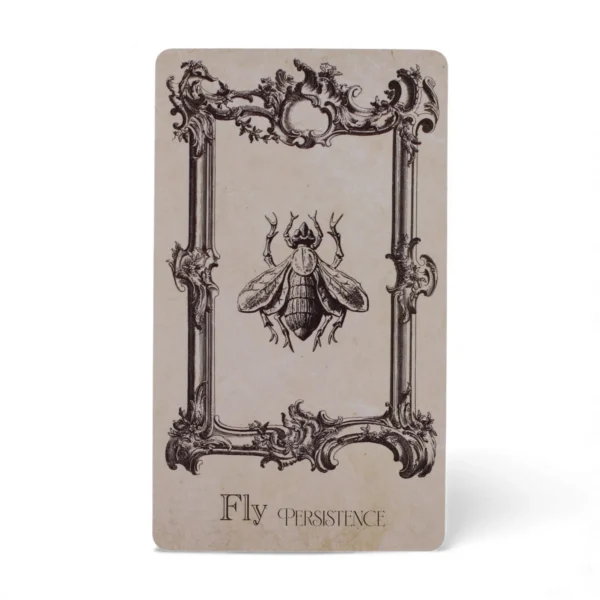 bG9jYWw6Ly9tZWRpYS85Ui9HRS82MFIzMEMxSjY0U0tHRTlSL2QxYTM2NmQzLmpwZw.webp The Spell book Oracle Cards- Witchcraft Deck