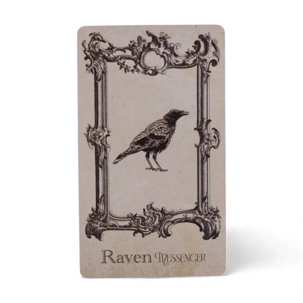 bG9jYWw6Ly9tZWRpYS8xSC9KQy82MFIzMEMxSjY0U0tKQzFIL2YyMjE5NTU5LmpwZw.webp The Spell book Oracle Cards- Witchcraft Deck