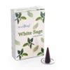 bG9jYWw6Ly9tZWRpYS8xSi9FRS82MFIzMEMxRzZHVjNFRTFKLzJhMjYyZjdiLmpwZWc.webp White Sage Cones