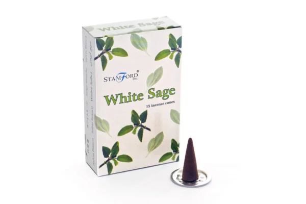 bG9jYWw6Ly9tZWRpYS8xSi9FRS82MFIzMEMxRzZHVjNFRTFKLzJhMjYyZjdiLmpwZWc.webp White Sage Cones