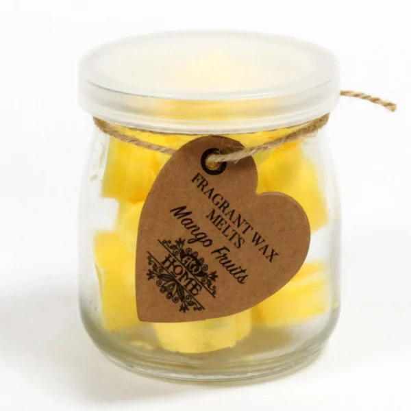 bG9jYWw6Ly9tZWRpYS8xSy8wRC82MFIzMEMxRzZHV0swRDFLL2M3MTkwODg5LmpwZWc.webp Soy wax Melts Jar - Mango Fruits