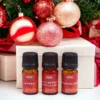 Christmas Oils Make your home smell like Christmas this year with a quirky gift from FunkyStride