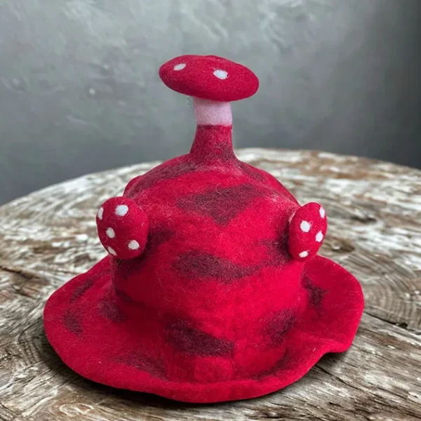 Red Mushroom Hat
