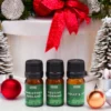 bG9jYWw6Ly9tZWRpYS8xUC82Qy82MFIzMEMxRzZXUjM2QzFQLzJkYzRmZjc5LmpwZWc.webp Holy Scents of Christmas Fragrance Set