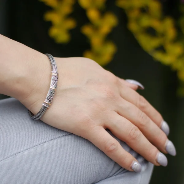 bG9jYWw6Ly9tZWRpYS8xUi9KRC82MFIzMEMxRzZNVEtKRDFSLzUyMzNjOTFlLmpwZWc.webp Silver and Gold Bracelet - Unisex Twin Chain