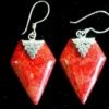 925 Silver and resin earrings Diamond