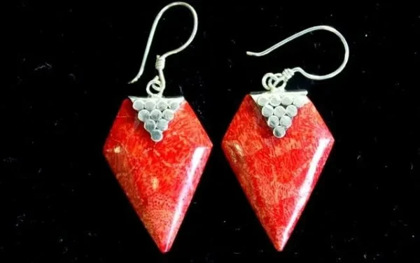 925 Silver and resin earrings Diamond
