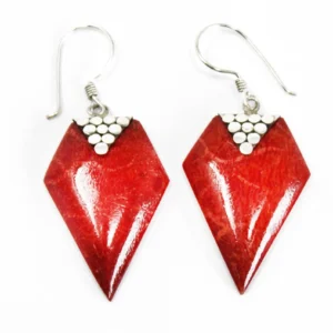 925 Silver and resin earrings Diamond