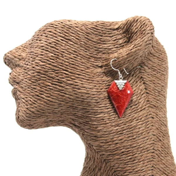 925 Silver and resin earrings Diamond
