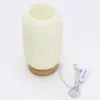 New Wave Lamp - USB - 3 settings - Modern Twisted