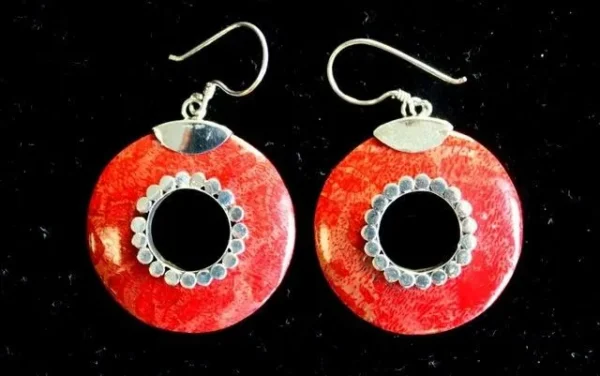 925 Silver and resin earrings Circle