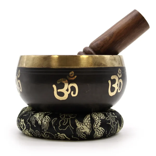 bG9jYWw6Ly9tZWRpYS9TSi9FQy82MFIzMEMxRzZSVktFQ1NKL2JiNzkxMGViLmpwZWc.webp Yoga Om Singing Bowl Set