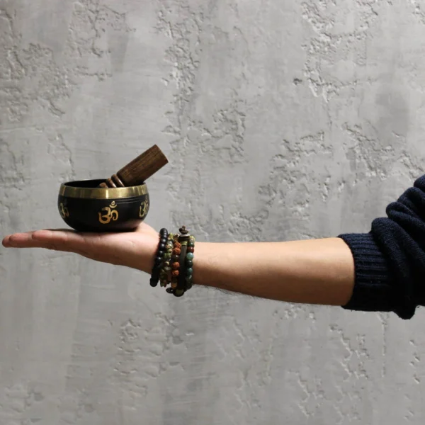 bG9jYWw6Ly9tZWRpYS9TTi9FQy82MFIzMEMxRzZSVktFQ1NOL2Q4MDdlZWFiLmpwZWc.webp Yoga Om Singing Bowl Set