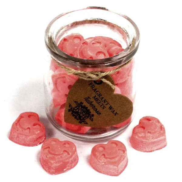 bG9jYWw6Ly9tZWRpYS9TUS8wRC82MFIzMEMxRzZHV0swRFNRL2UwYmI2MjVhLmpwZWc.webp Soy wax Melts Jar - Tuberose
