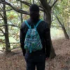bG9jYWw6Ly9tZWRpYS9TUi82Qy82MFIzMEMxRzZHVjM2Q1NSLzljMTQwYTg4LmpwZWc.webp Jacquard Bag - Teal Backpack