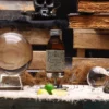 Ancient Witch Ritual Water - Fountain of Youth