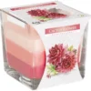 Rainbow Jar Candle - Cactus flower