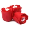 bG9jYWw6Ly9tZWRpYS85Uy9BRC82MFIzMEMxRzZHVjNBRDlTLzU4YzVmY2NmLmpwZWc.webp Set of 3 Soap Flower Heart Box - Red Roses