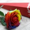 Luxury Soap Flower - Rainbow