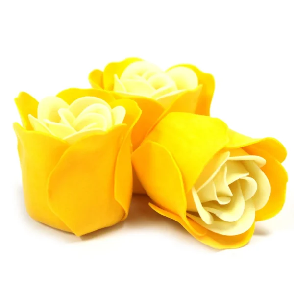 bG9jYWw6Ly9tZWRpYS9ISy9BRC82MFIzMEMxRzZHVjNBREhLL2MxMGI2YzY2LmpwZWc.webp Set of 3 Soap Flower Heart Box - Spring Roses