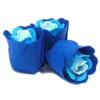 bG9jYWw6Ly9tZWRpYS9ITi9BRC82MFIzMEMxRzZHVjNBREhOLzgyNWQzMjQ4LmpwZWc.webp Set of 3 Soap Flower Heart Box - Blue Wedding Roses