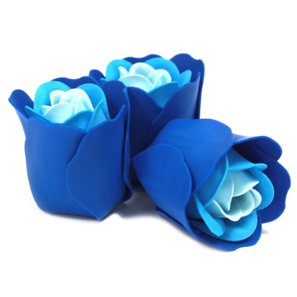 bG9jYWw6Ly9tZWRpYS9ITi9BRC82MFIzMEMxRzZHVjNBREhOLzgyNWQzMjQ4LmpwZWc.webp Set of 3 Soap Flower Heart Box - Blue Wedding Roses