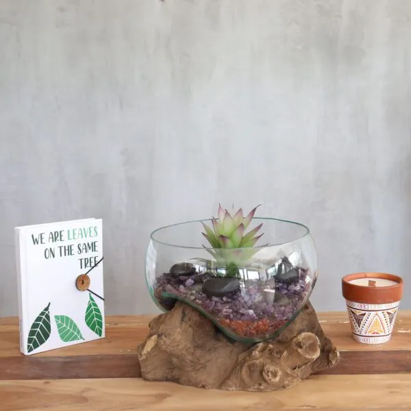 Succulent Glass Terrarium Wood Base - Minimalist Natural Decor Molten Glass on Wood - Open Lrg Bowl
