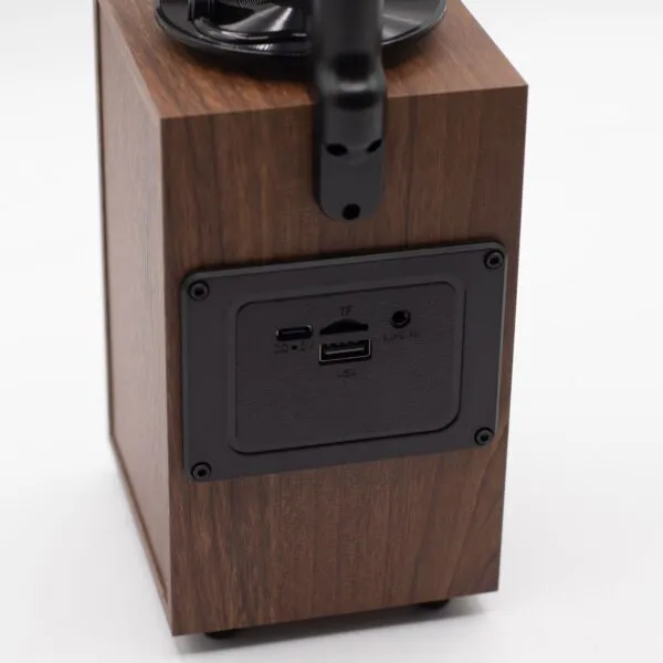 Wooden Bluetooth Speaker Brown Finish - USB and Aux Inputs Rear connectivity panel of a wooden Bluetooth speaker showing USB, microSD, and auxiliary input ports.