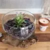 bG9jYWw6Ly9tZWRpYS85Si9FRS82MFIzMEMxRzZNU0tFRTlKLzA5ODY4Y2VlLmpwZWc.webp Molten Glass on Wood - Open Lrg Bowl