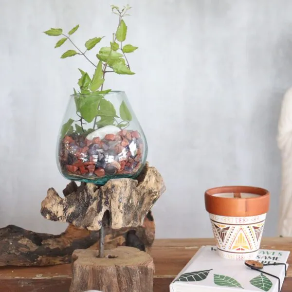 A glass terrarium with green plants on driftwood beside a patterned terracotta candle pot and book.