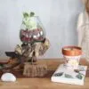 A wooden table with a glass plant arrangement, terracotta candle pot, white stone, and Buddha statue.