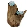 Driftwood base with turquoise blown glass bowls fused into its natural contours for decorative display.