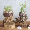 Two glass terrariums with green plants on natural driftwood bases, filled with colourful pebbles.