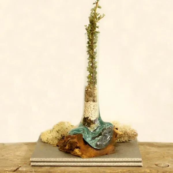 bG9jYWw6Ly9tZWRpYS8xSi84RC82MFIzMEMxRzZNU0s4RDFKLzk3MWYzZWExLmpwZWc.webp Molten Glass on Wood - Vase