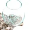 Hand-Blown Glass Bowl Driftwood Base Aqua Tint - Organic Design A hand-blown glass bowl with aqua tint resting on natural driftwood base.