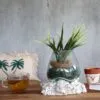 bG9jYWw6Ly9tZWRpYS8xUC80RS82MFIzMEMxRzZSVDM0RTFQL2NiZmFiMzM1LmpwZWc.webp Molten Glass on Whitewash Wood - Small Bowl