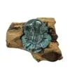 Hand-blown aqua glass bowl resting on natural driftwood base, rustic decorative art piece