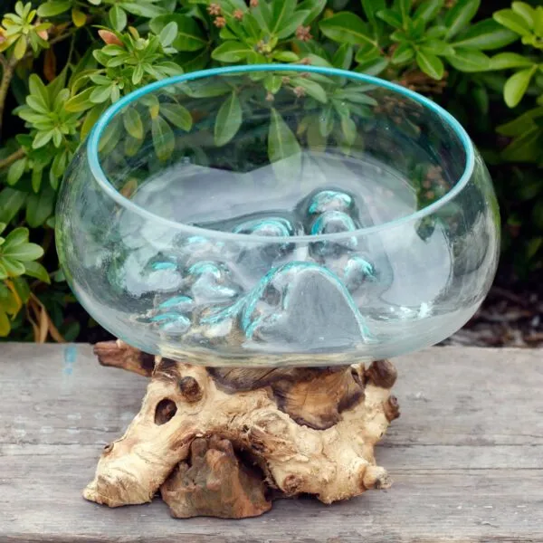 Glass Bowl Natural Wood Base Clear Blue Rim - Organic Design A clear glass bowl with a blue rim resting on a sculpted natural wooden base outdoors.