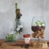 bG9jYWw6Ly9tZWRpYS8xUy84RC82MFIzMEMxRzZNU0s4RDFTLzc5ZjlkNzk2LmpwZWc.webp Molten Glass on Wood - Hanging Bowl