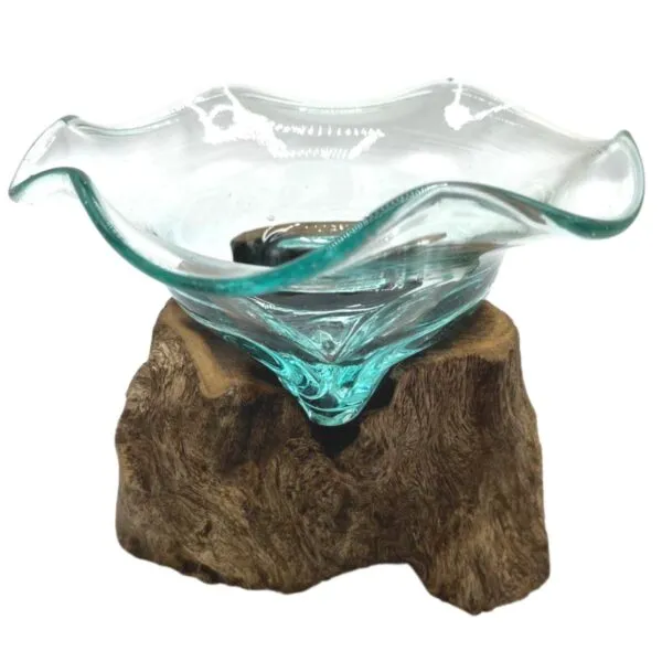 A clear aqua-tinted glass bowl fused onto natural driftwood base, combining glass art and rustic wood.