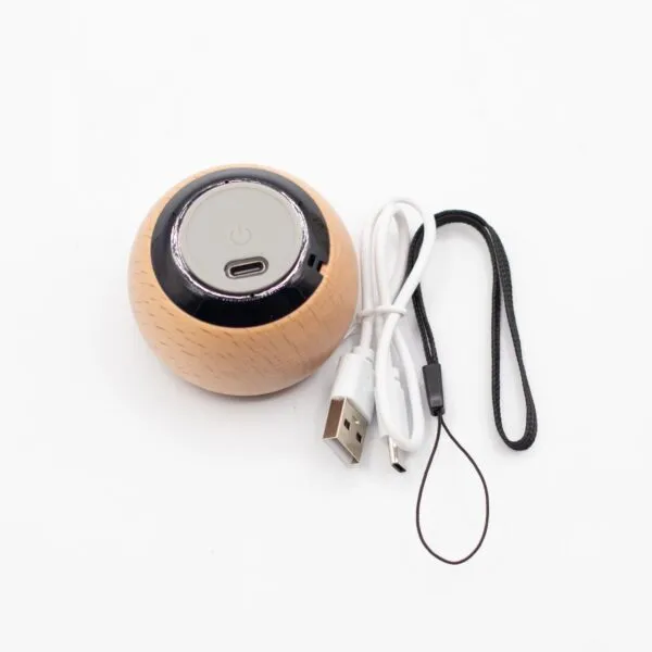 Wooden Mandela Effect Mini Speaker