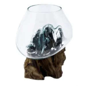 A clear handcrafted glass bowl shaped to a natural wooden base, rustic and decorative.