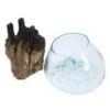 A clear glass bowl with a bluish tint placed beside rugged brown driftwood on a white background.