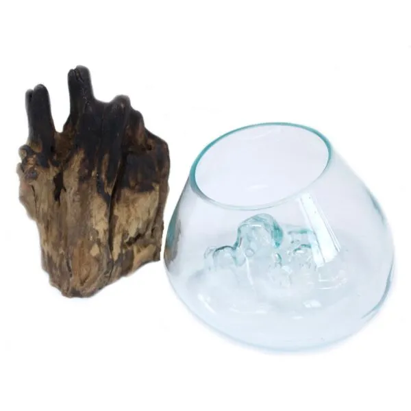 A clear glass bowl with a bluish tint placed beside rugged brown driftwood on a white background.