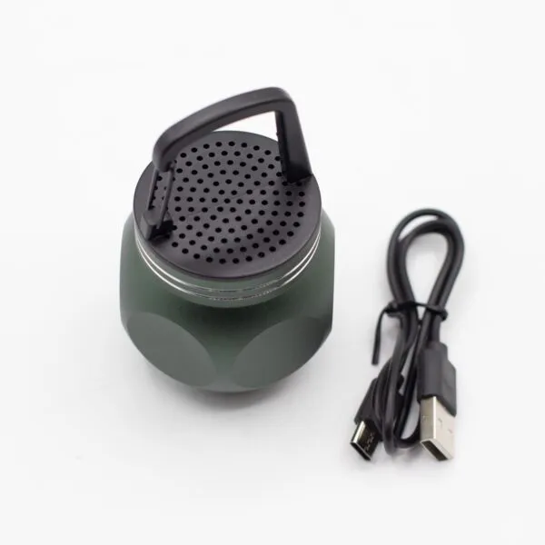 A green portable Bluetooth speaker with black grille and USB-C charging cable on a white background.